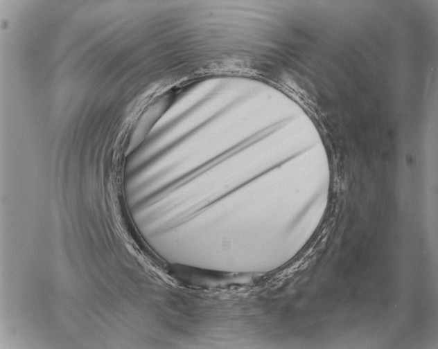 X0000058790193200510211822