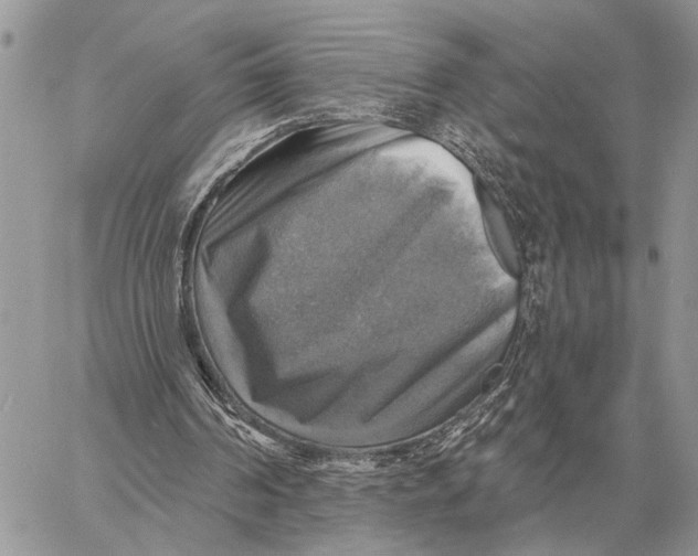 X0000058790194200510211822