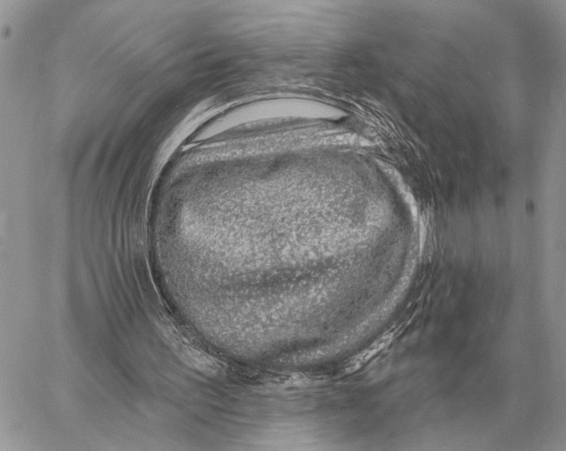 X0000058790195200510211822