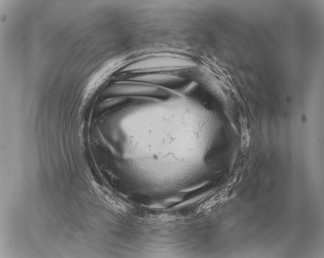 X0000058790197200510211822