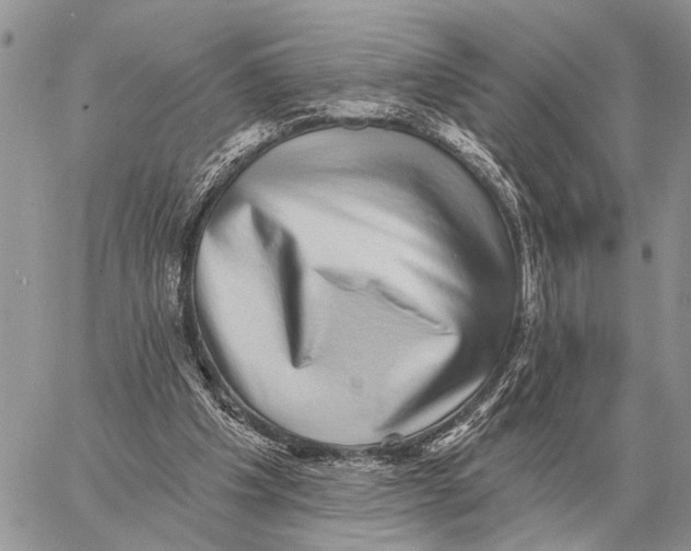 X0000058790201200510211822