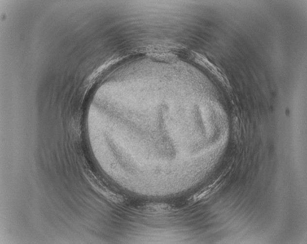 X0000058790203200510211822