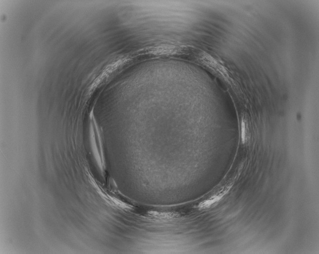 X0000058790205200510211822