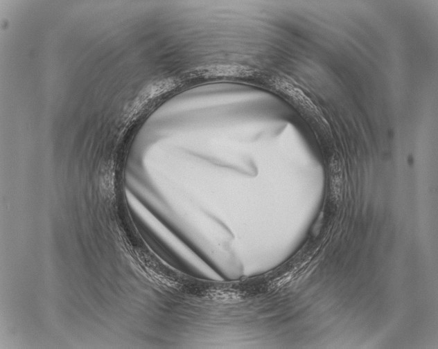 X0000058790207200510211822