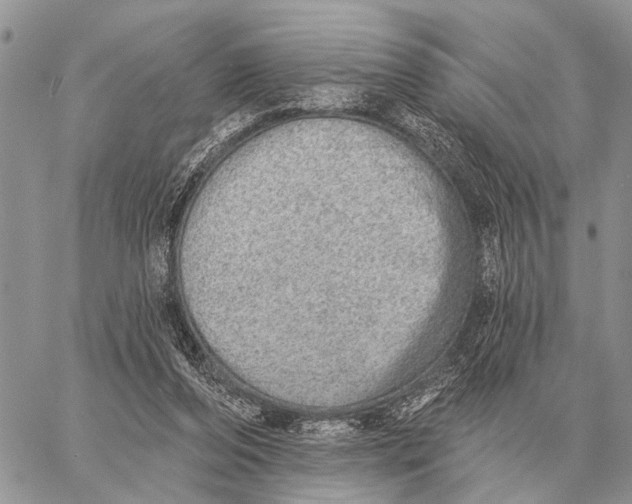X0000058790208200510211821