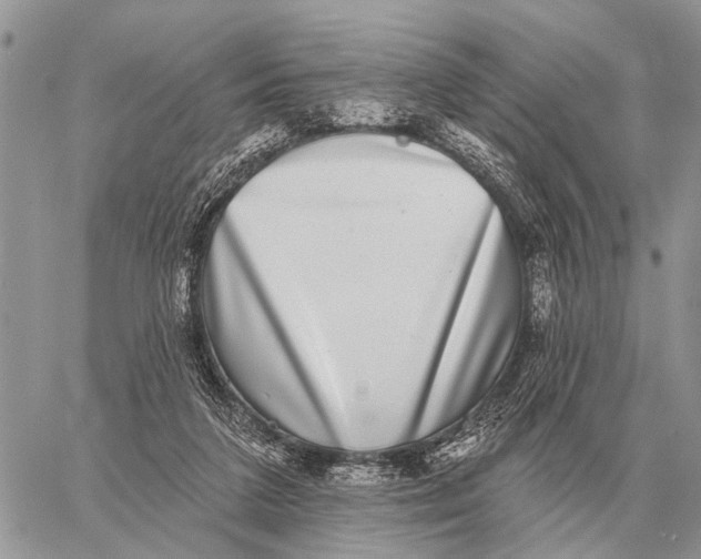 X0000058790211200510211821