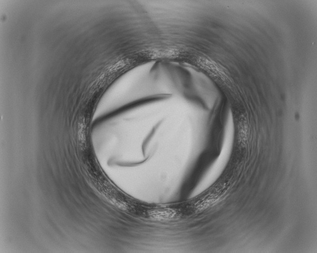 X0000058790215200510211821