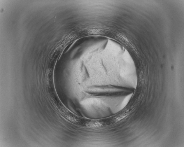 X0000058790217200510211821