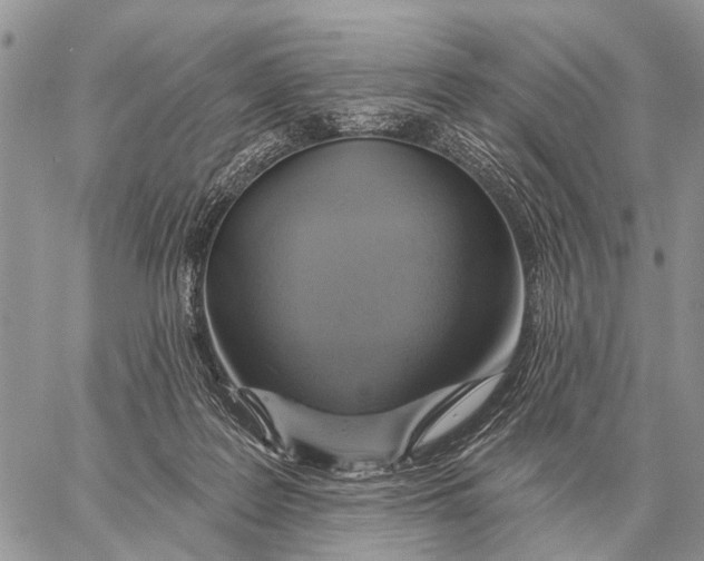 X0000058790219200510211821