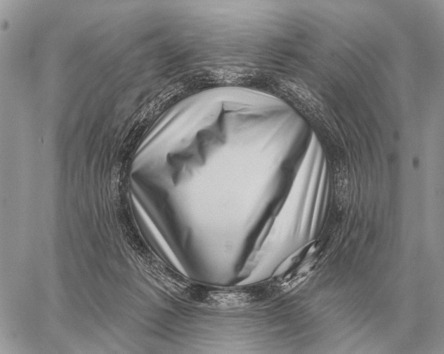 X0000058790221200510211821