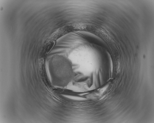 X0000058790229200510211821