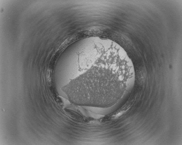 X0000058790232200510211821