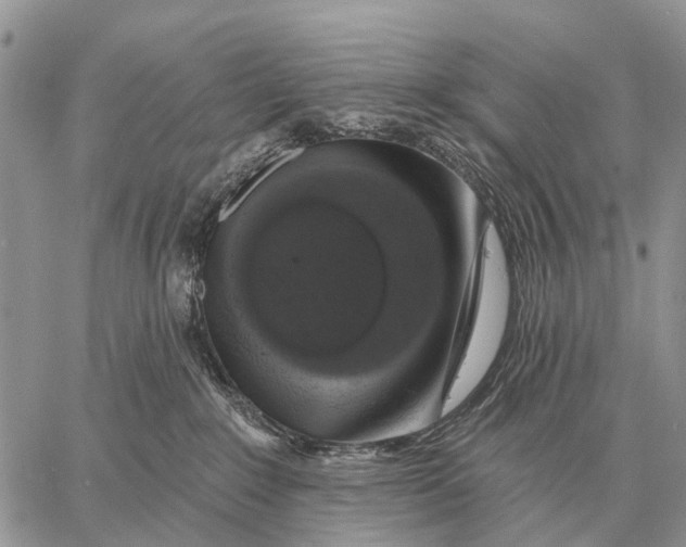 X0000058790235200510211821