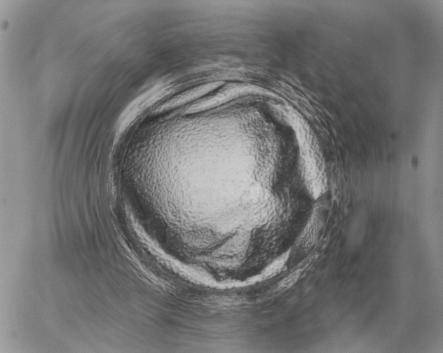 X0000058790245200510211820