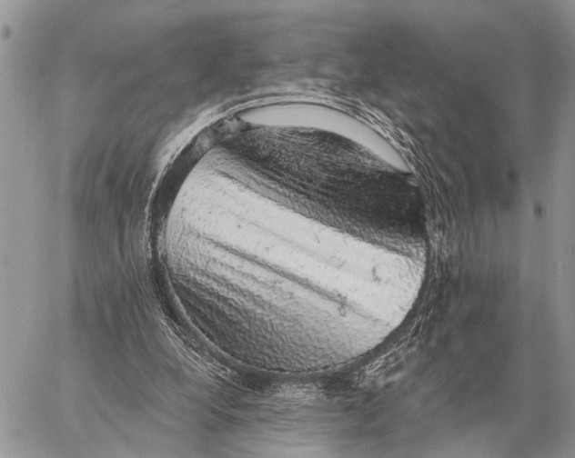 X0000058790248200510211820