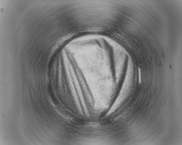 X0000058790252200510211820