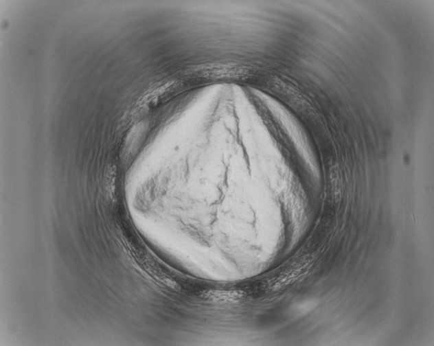 X0000058790255200510211820