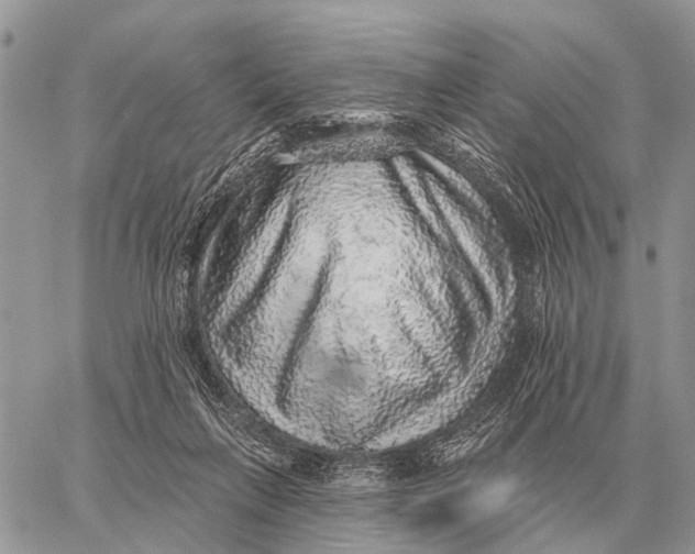 X0000058790263200510211821
