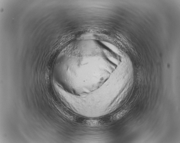 X0000058790265200510211821