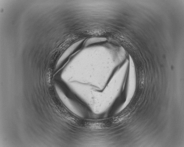 X0000058790268200510211821