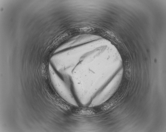 X0000058790270200510211821