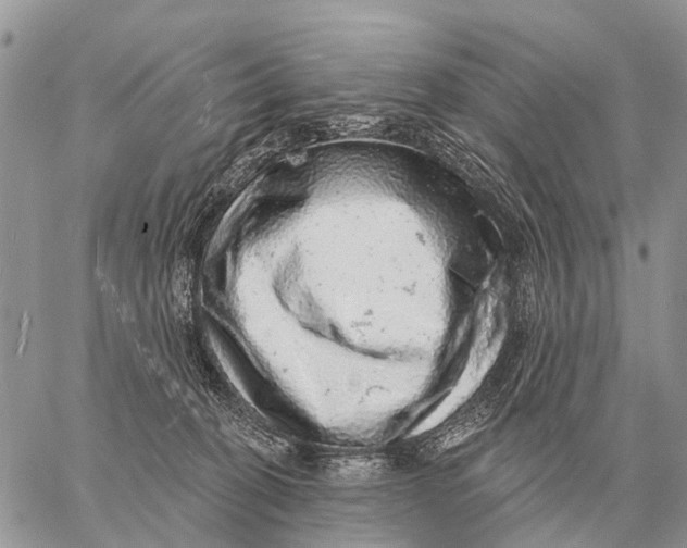 X0000058790274200510211821