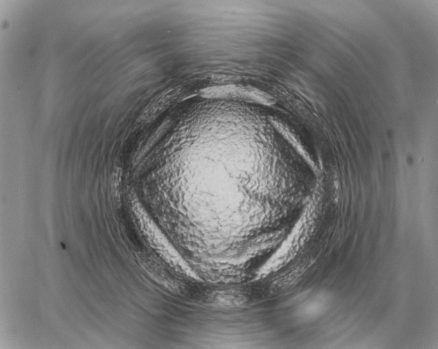 X0000058790275200510211821