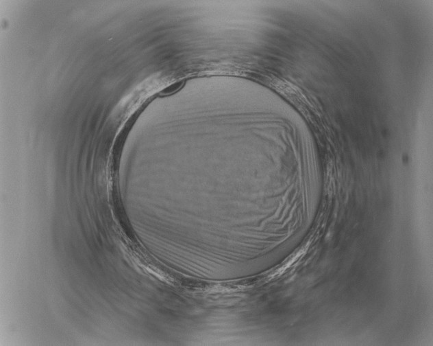 X0000058790290200510211820