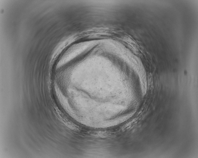 X0000058790293200510211820