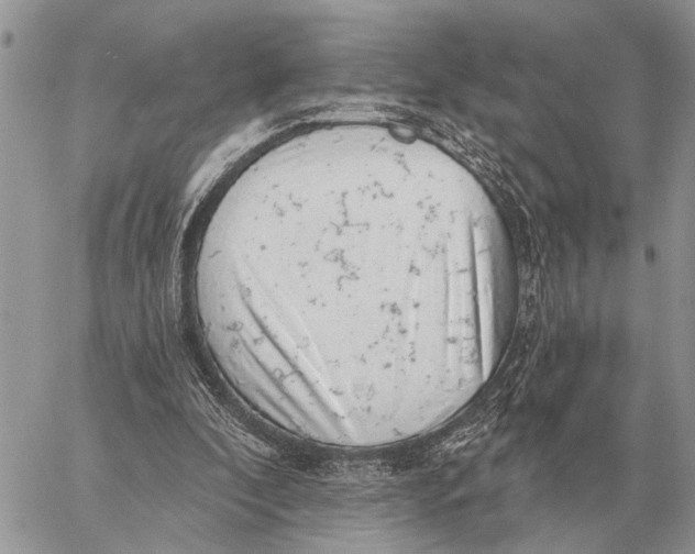 X0000058790296200510211820