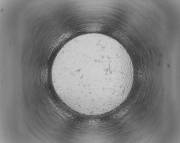 X0000058790304200510211820