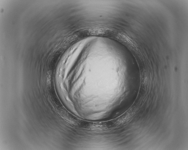 X0000058790315200510211820