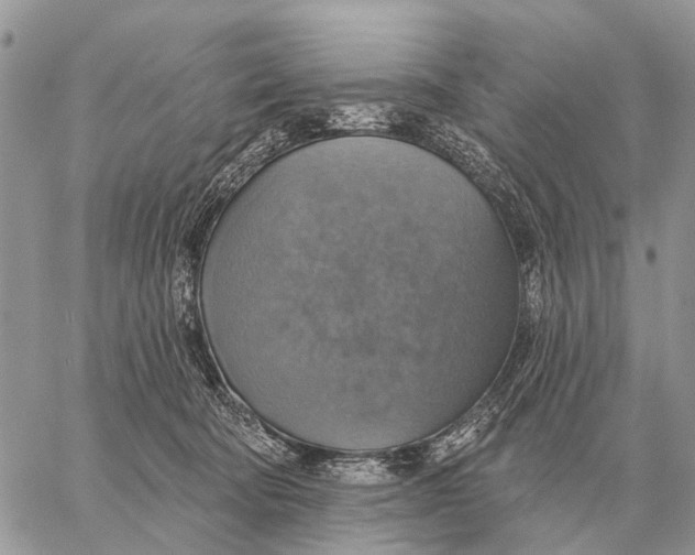 X0000058790322200510211820
