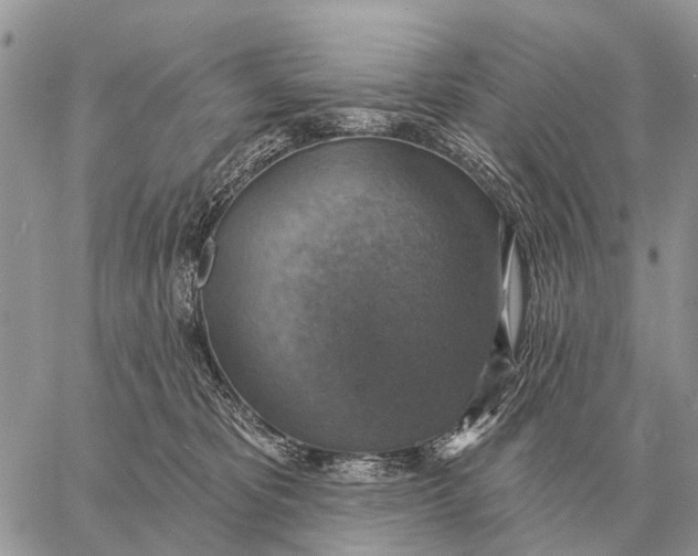 X0000058790325200510211820