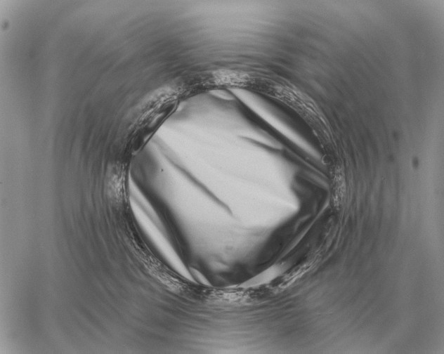 X0000058790329200510211819