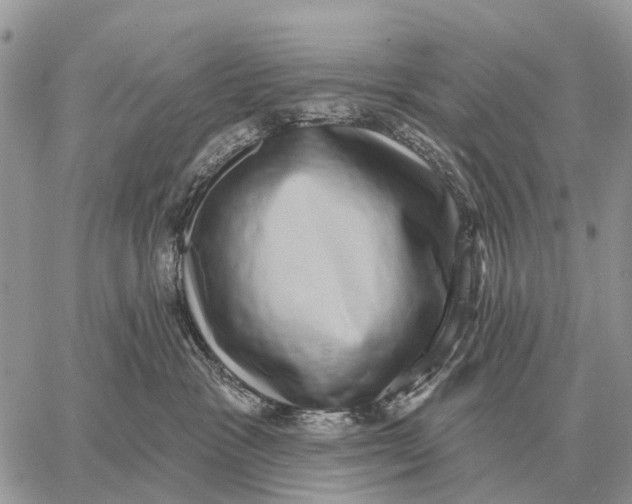 X0000058790333200510211819