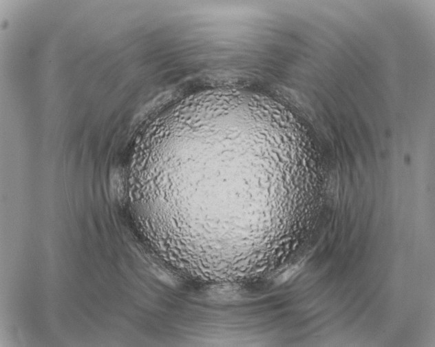 X0000058790335200510211819