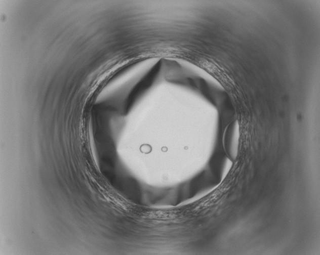 X0000058790338200510211819