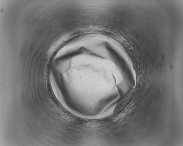 X0000058790341200510211819