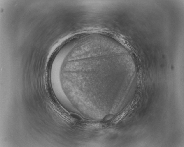 X0000058790342200510211819