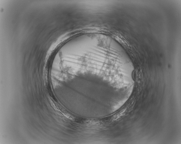 X0000058790343200510211819