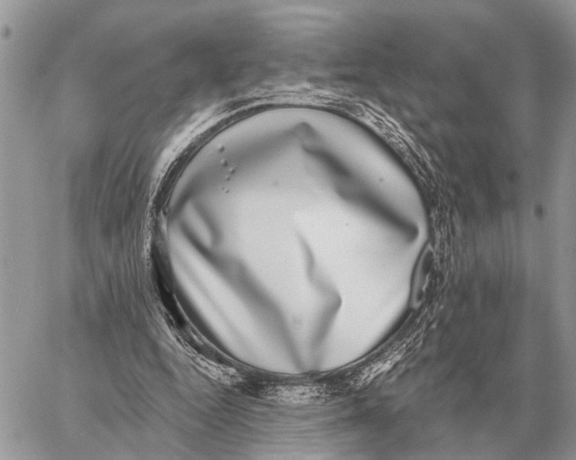 X0000058790344200510211819