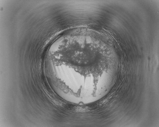 X0000058790346200510211819