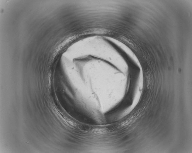 X0000058790350200510211819