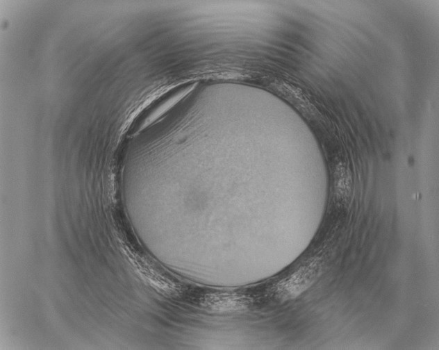 X0000058790351200510211819