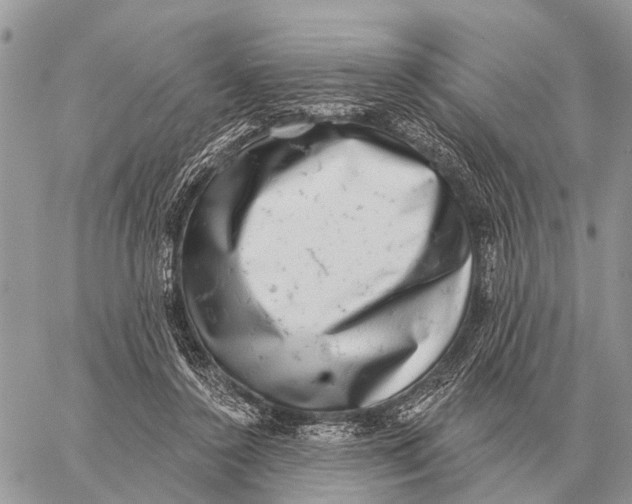 X0000058790356200510211819