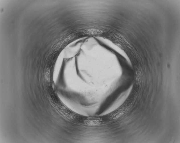 X0000058790368200510211819
