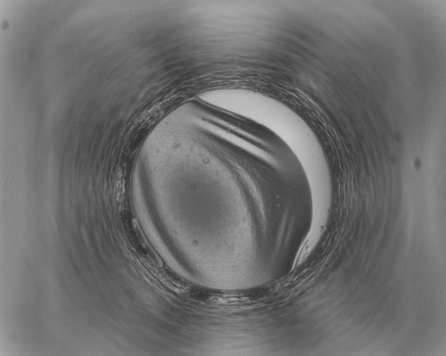 X0000058790372200510211819
