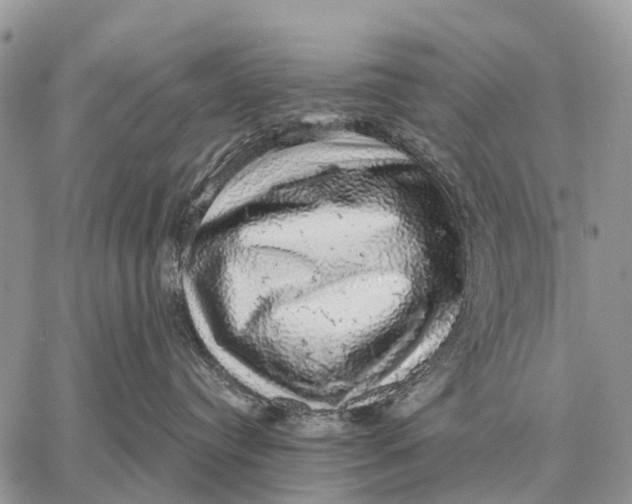 X0000058790384200510211819