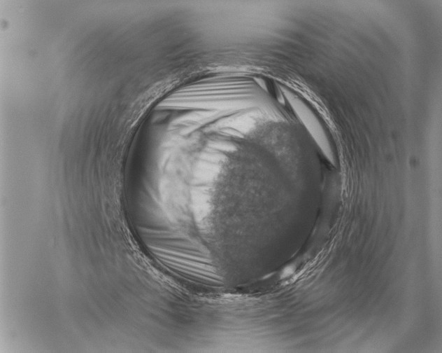 X0000058790385200510211819